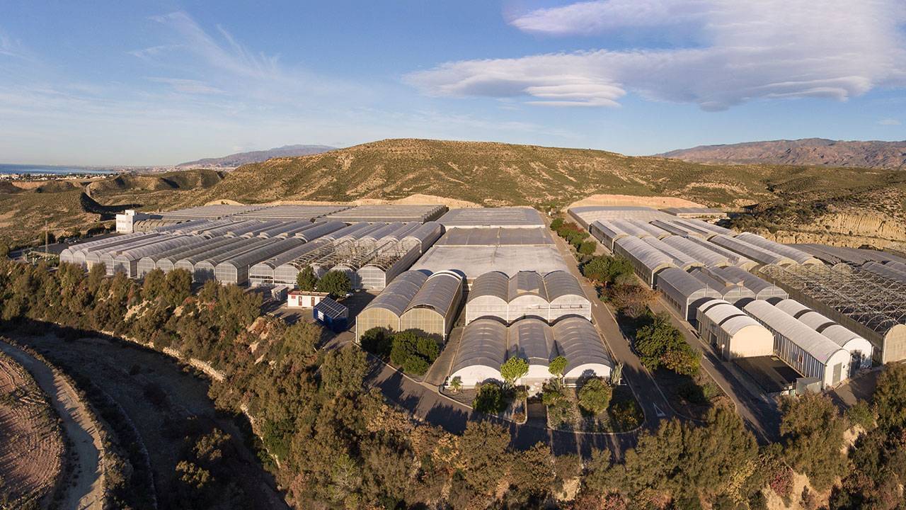 fundacion-finca-ual-anecoop-4|francisco palmero ual anecoop|María Casas Fernández|finca experimental ual anecoop|finca experimental ual anecoop|20220120_101325|finca experimental ual anecoop